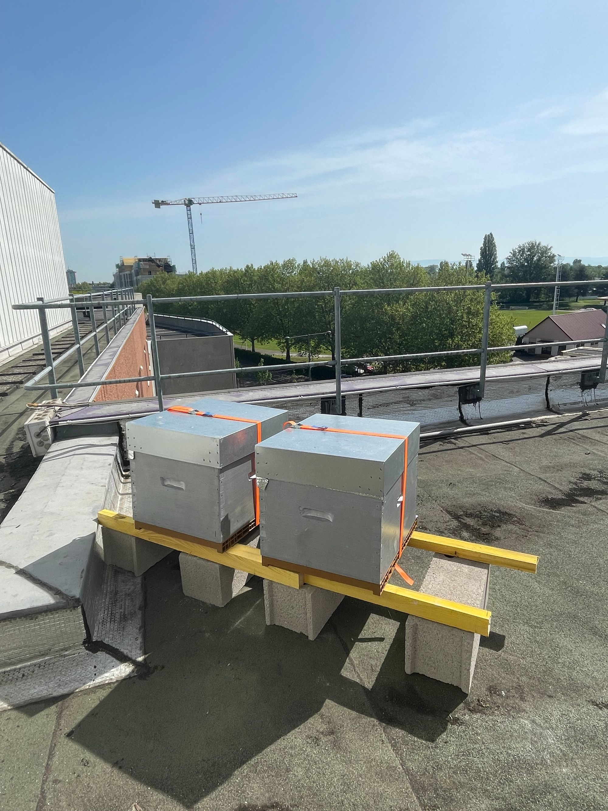 Sur le rooftop de l'hôtel, avec vue sur les jardins du parc de l’Aar, l’apiculteur prend soin des ruches, les entretient et les inspecte régulièrement pour assurer la bonne santé des colonies.