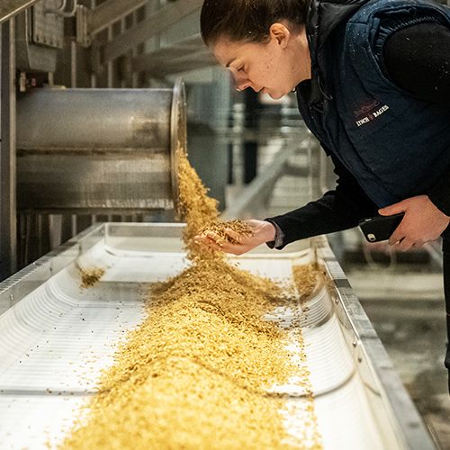 Les maltes sont 100 % bio, issus de céréales cultivées 100 % en Alsace.