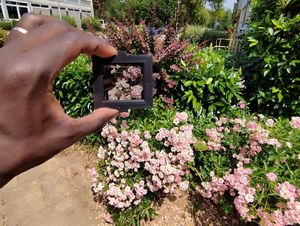 Le verre s'opacifie au contact de la la lumière