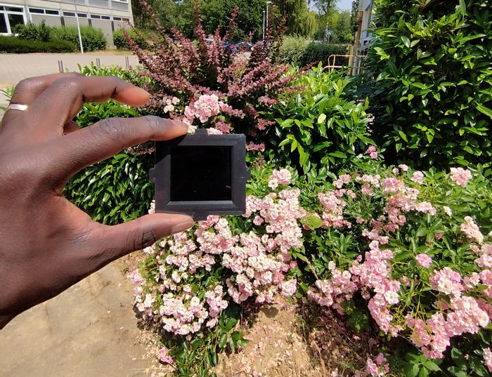Le verre s'opacifie au contact de la la lumière