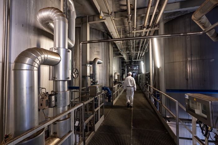 Le site de Strasbourg s’est imposé comme l’un des principaux fournisseurs de levure fraîche en Europe.