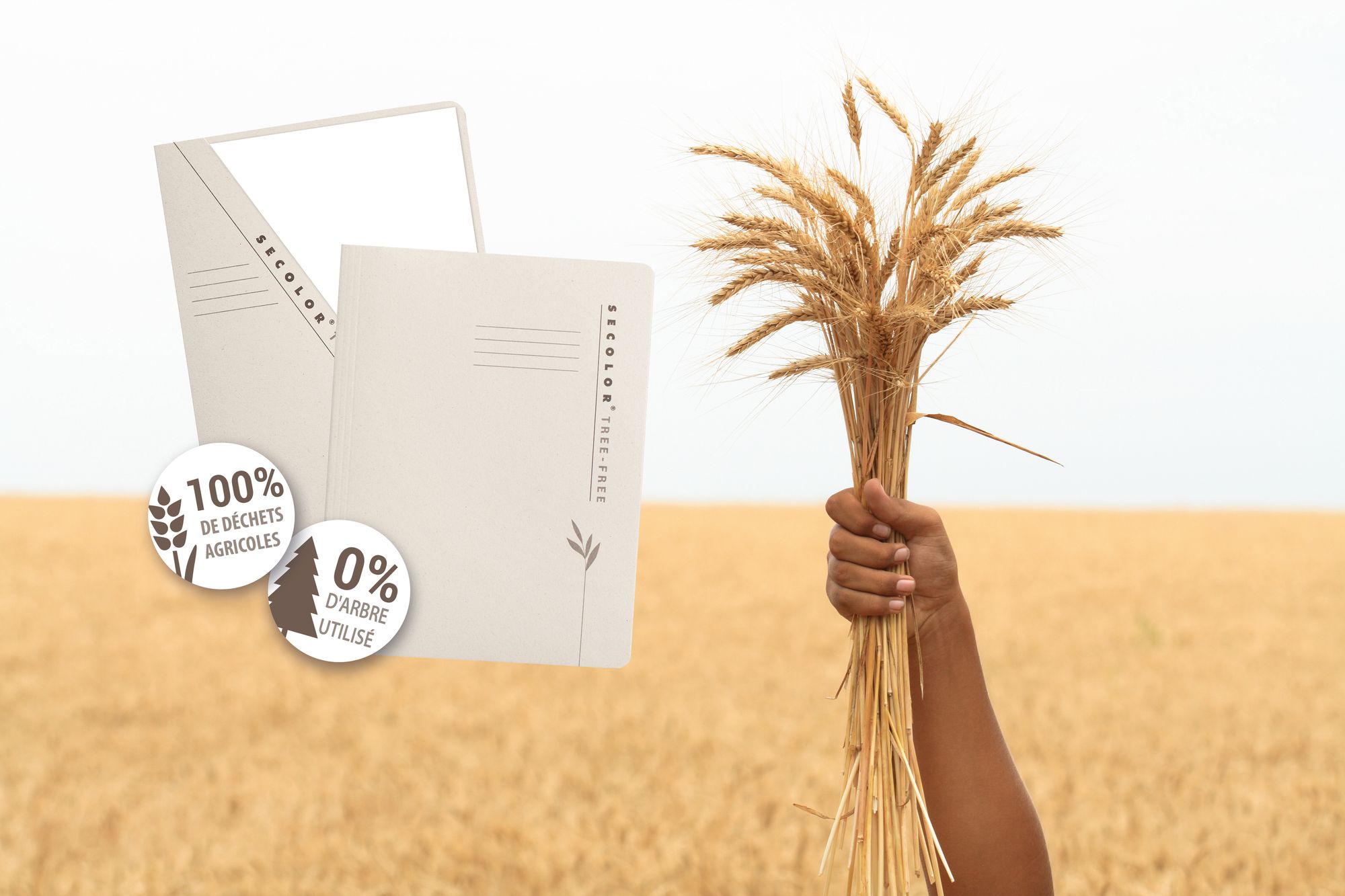 Chemises produites à partir de feuilles et tiges de blé et d’orge.