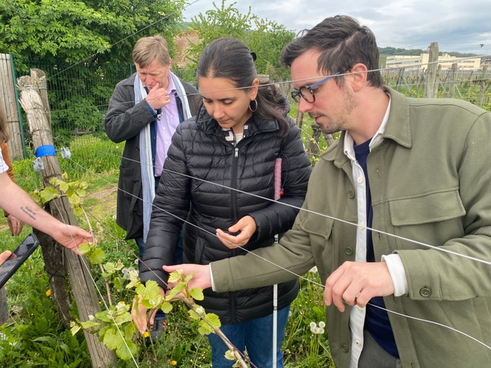 Une balade sensorielle pour vivre des instants de découverte et de convivialité autour de la vigne et du vin.
