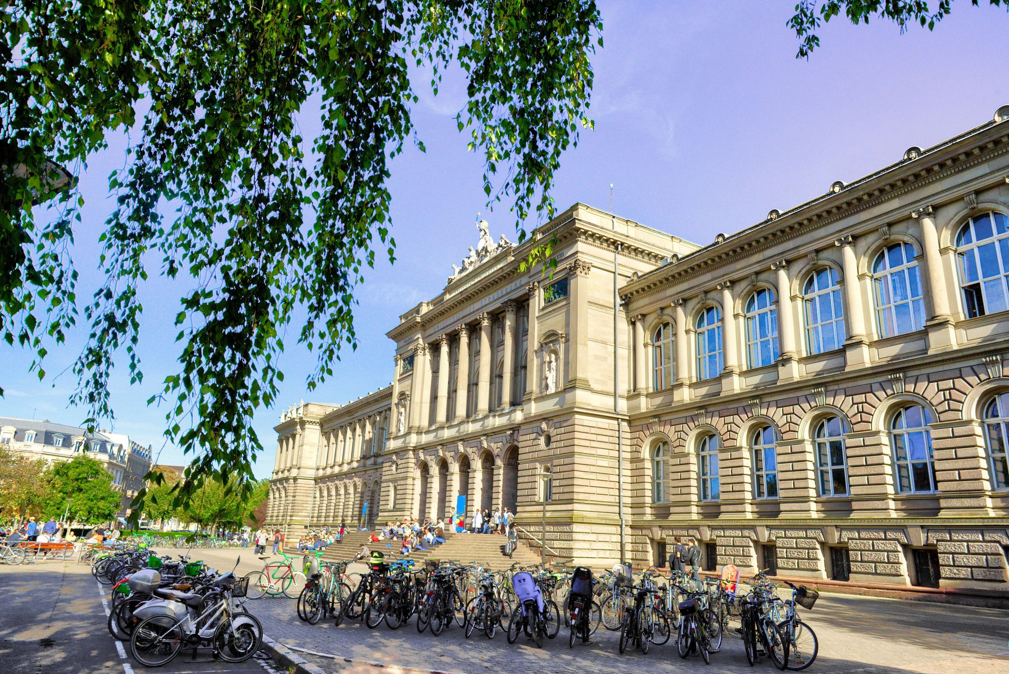 Dans le cadre de Conectus, les chercheurs de l’Université de Strasbourg bénéficient d’un soutien financier et juridique pour commercialiser leurs découvertes scientifiques ou pour créer une start-up.