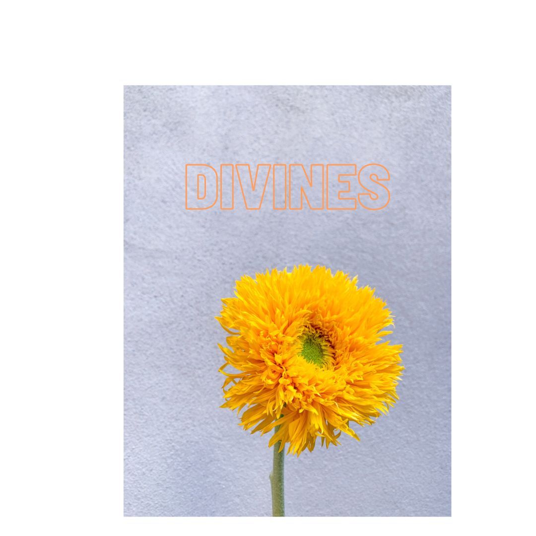 DIVINES