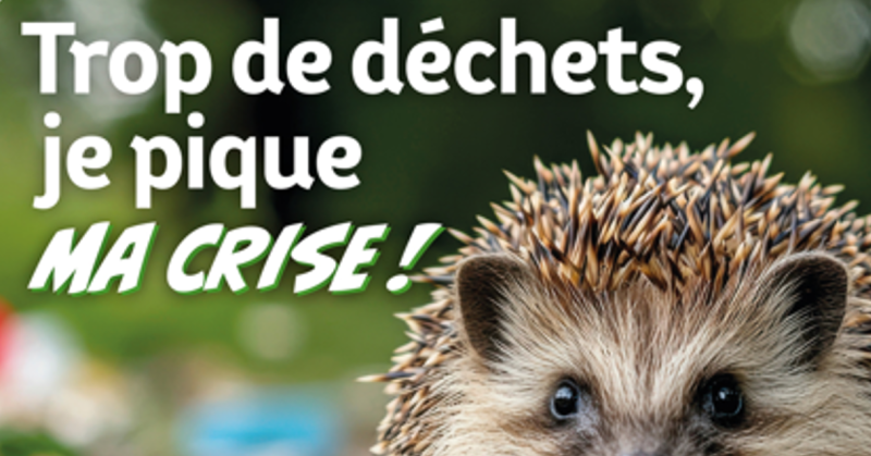 Elsàss Oschterputz : le grand nettoyage de printemps à l'alsacienne !