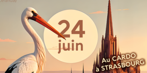Rencontre Propial : Innovation et Propriété intellectuelle